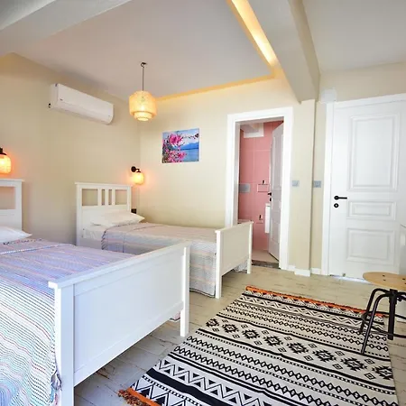 Citrus Villa