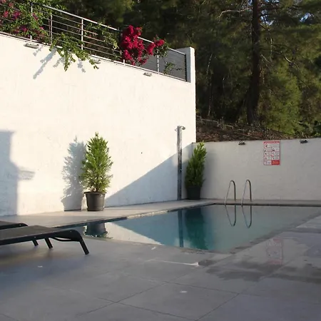 Citrus Villa